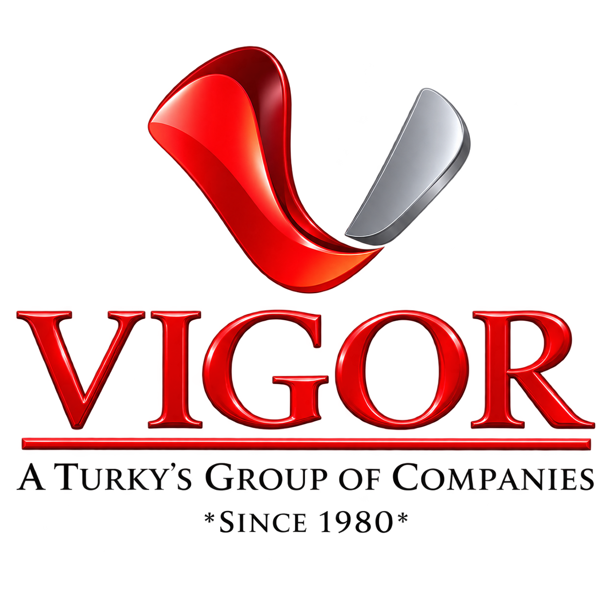 Vigor Group of Companies