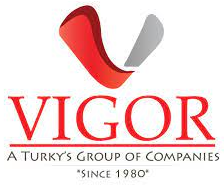 Vigo Logo 2
